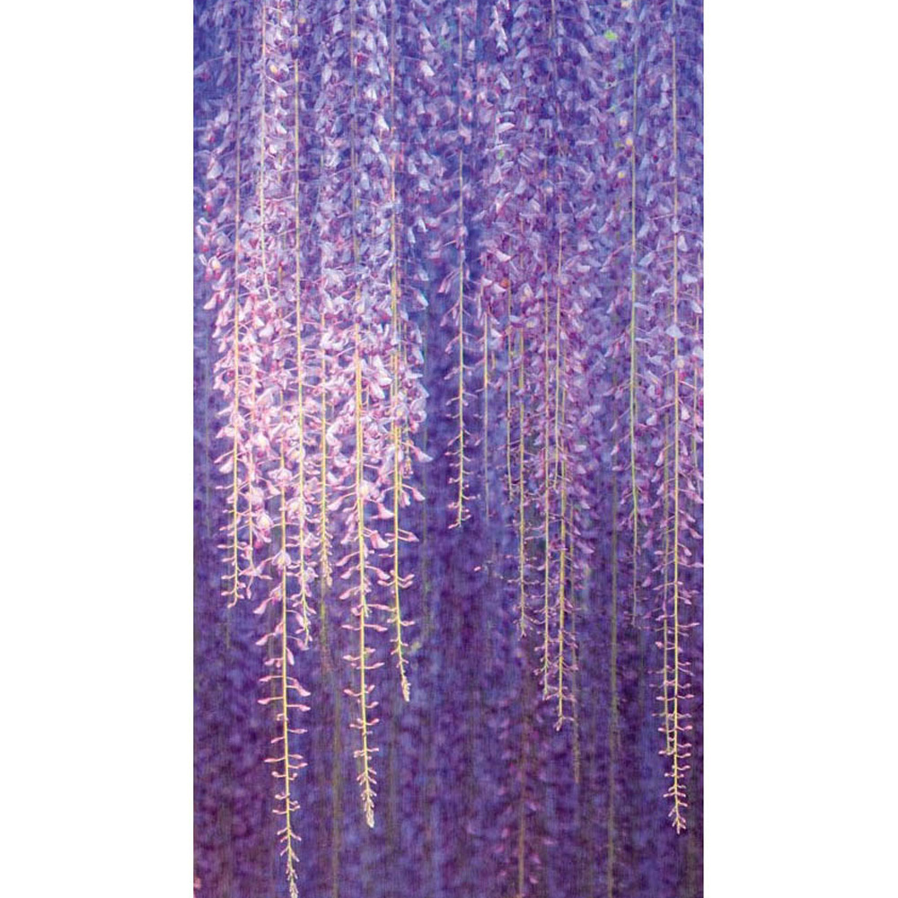 Grandeco Cascading Wisteria Flowers Purple Wall Mural Image 3