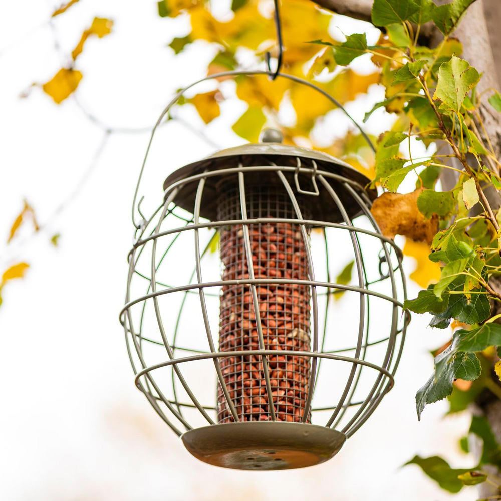 Thompson and Morgan Happy Beaks Orbital Squirrel Proof Peanut Feeder Image 6