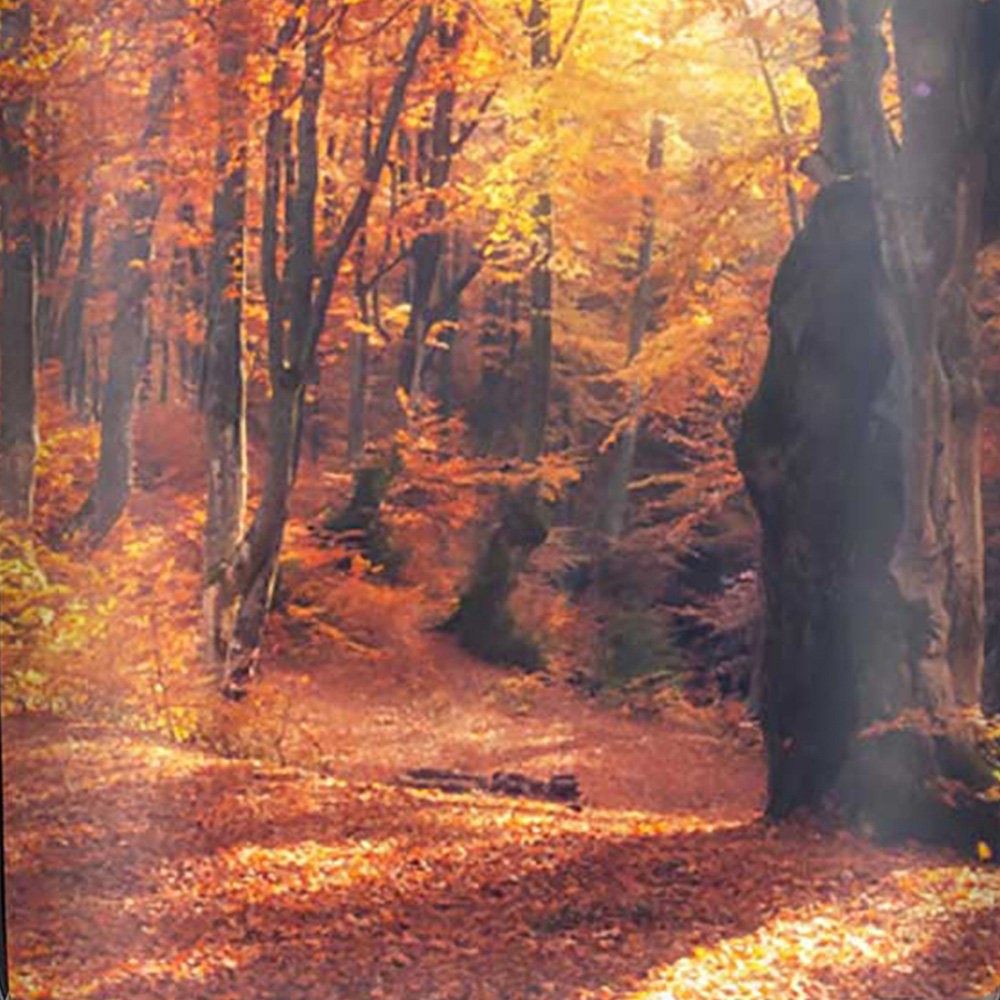 Warren Reed Designer Mini Cabin Autumn Forest Suitcase Image 3