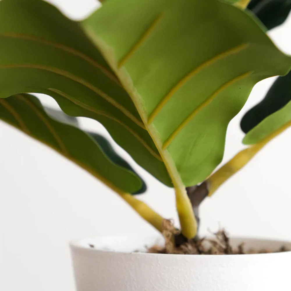 Leaf Fiddle Fig Artificial Plant in Pot 38cm Image 4