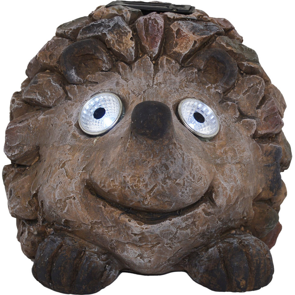 Harry the Solar Hedgehog Image 1