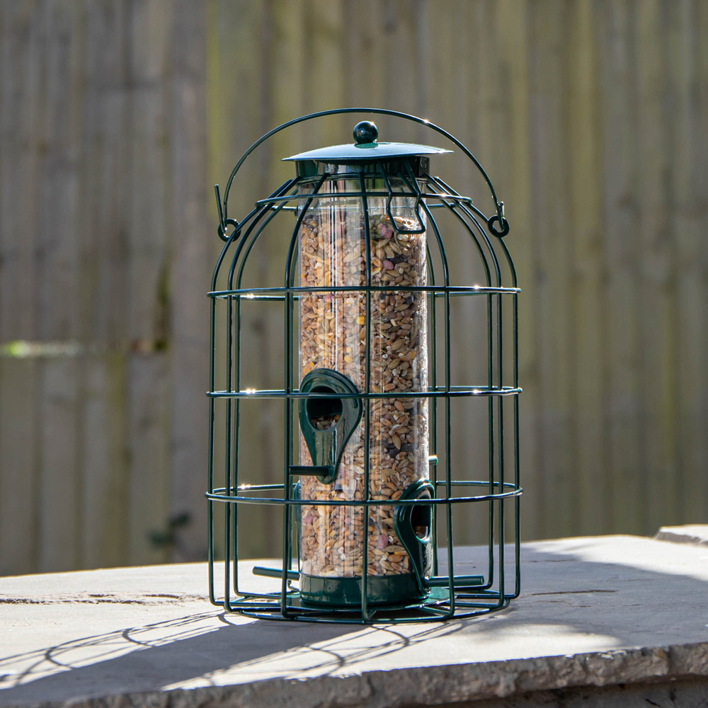 Samuel Alexander Metal Hanging Bird Seed Feeder with Squirrel Guard 3 Pack and 1kg Seed Feed Image 4