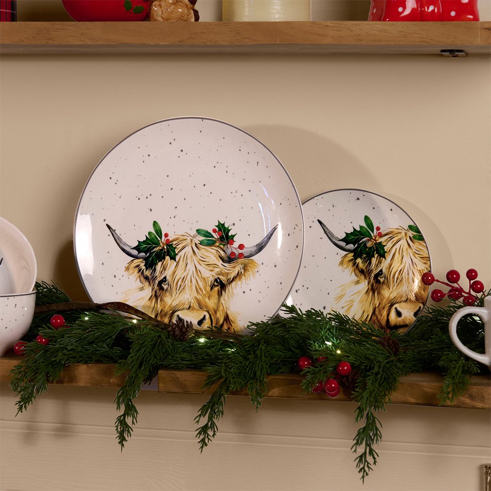 12 Piece Festive Frieda Dinner Set Image 2