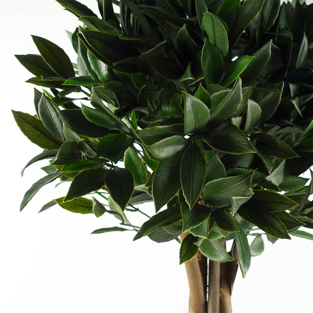 Leaf Buxus Laurel Bay Artificial Tree in Pot 4ft 2 Pack Image 3