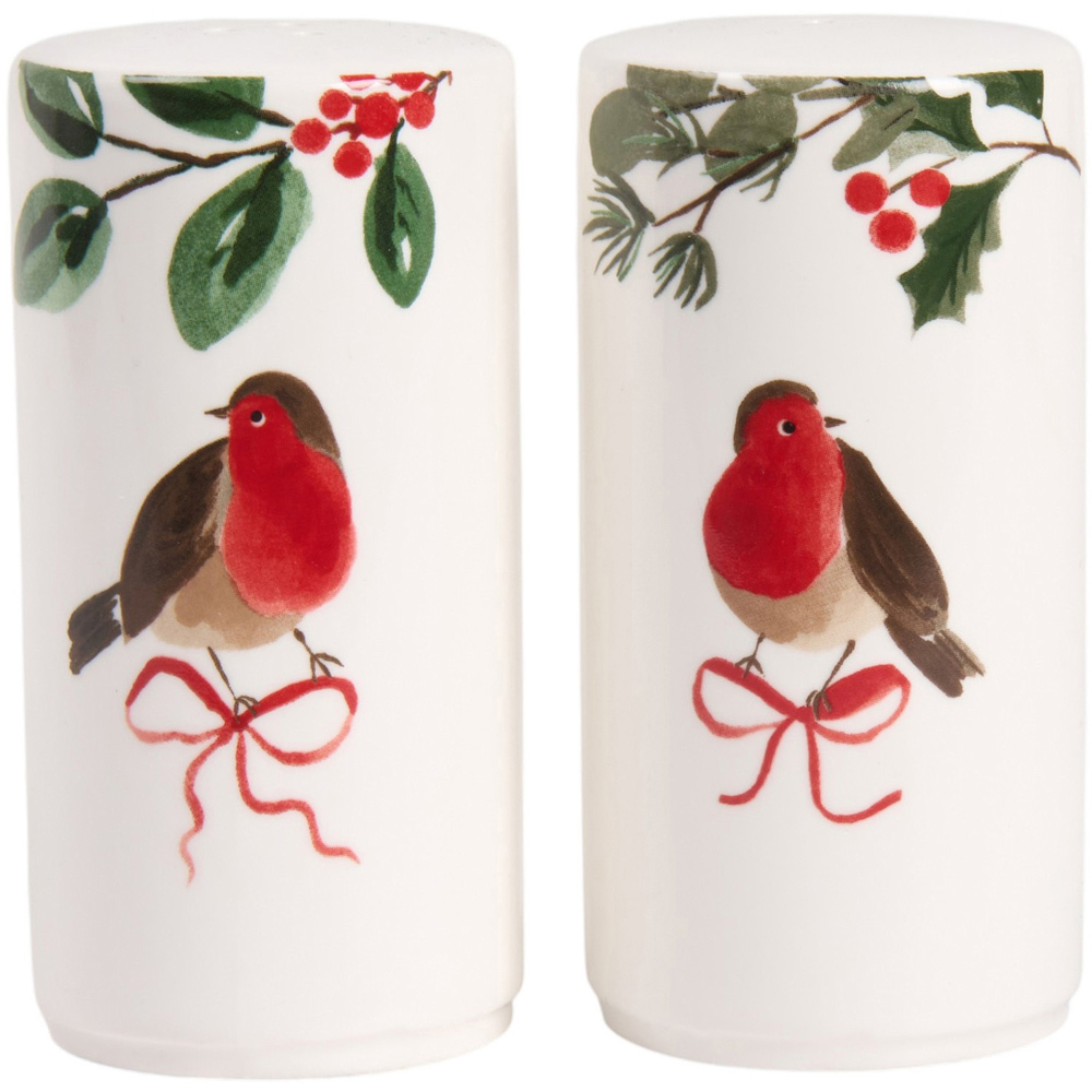Festive Robin Salt and Pepper Set Image 2