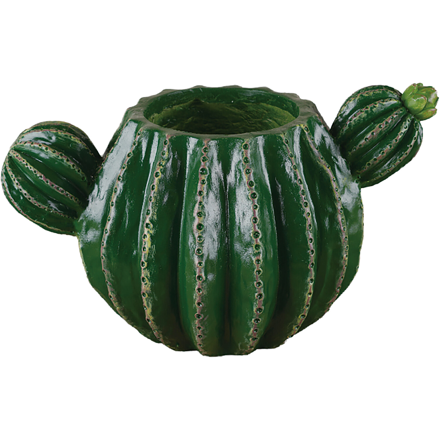 Cactus Planter Green Image 2