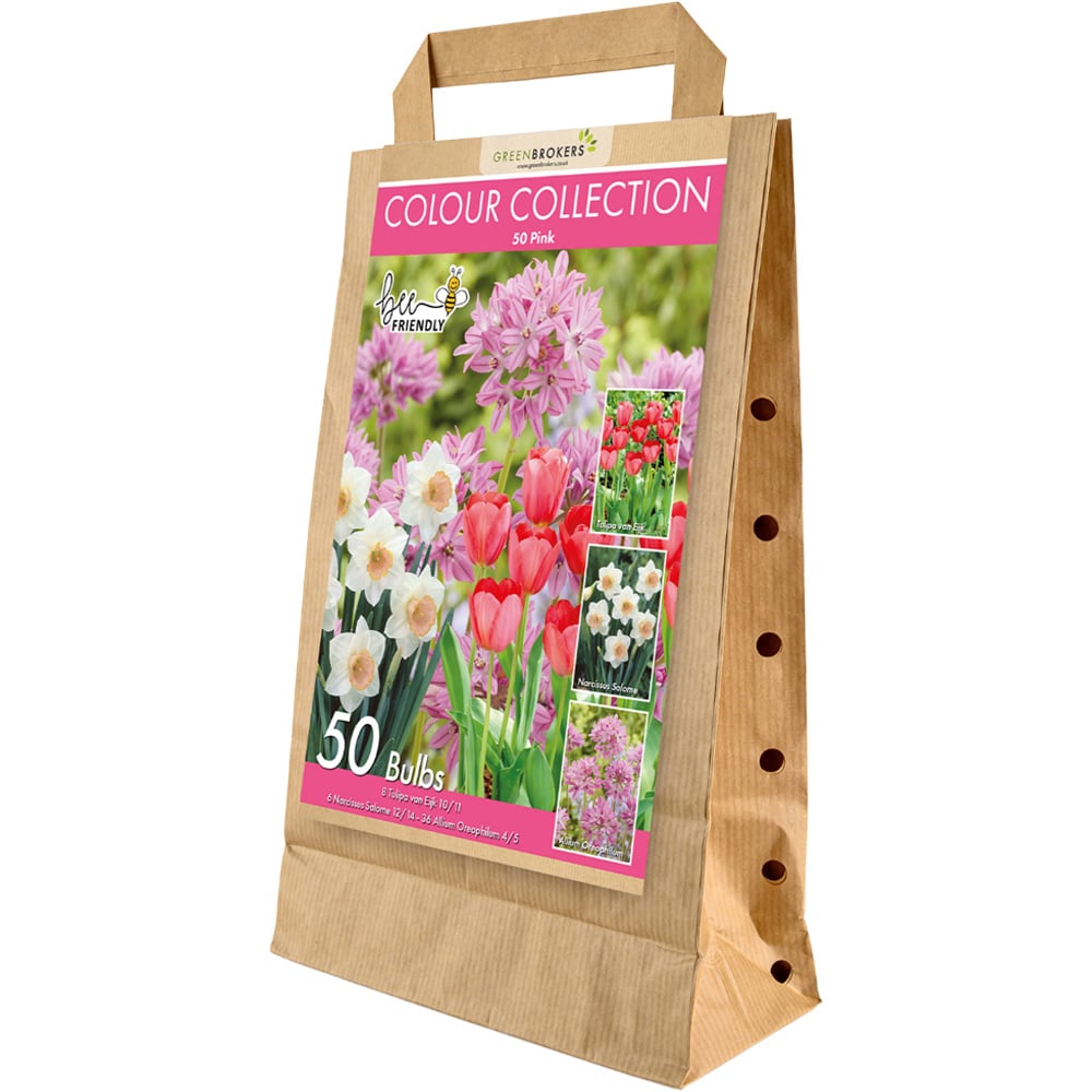 GreenBrokers Dutch Pink Colour Bee Friendly Mixed Collection Planting Bulb 50 Pack Image 1