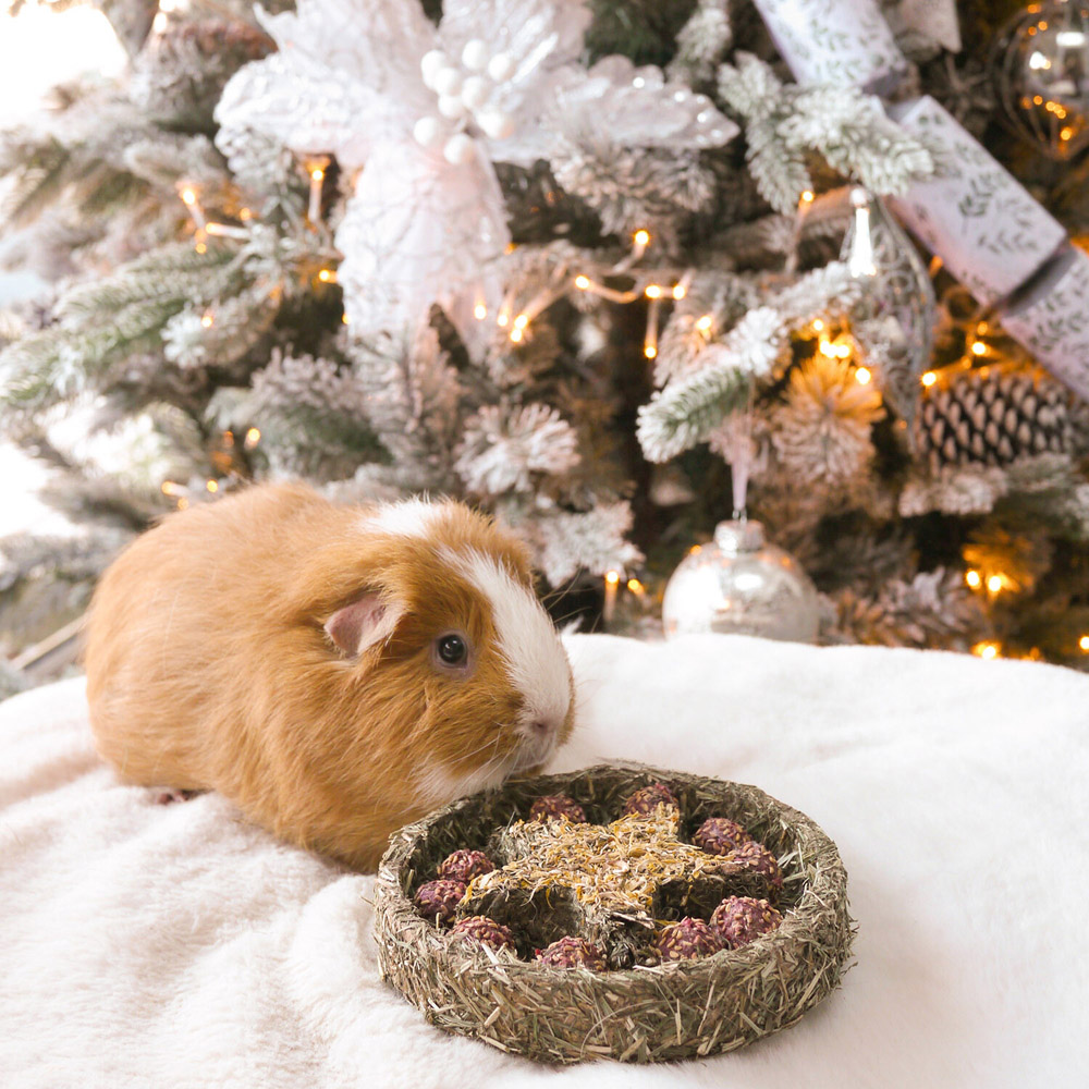 Naturals Star n Truffles Forage Tray Image 2
