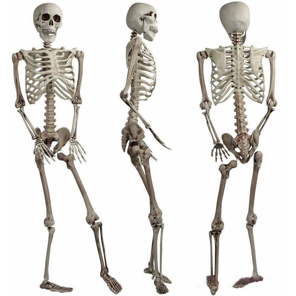 Shatchi Halloween Posable Skeleton Decoration 165cm Image 5