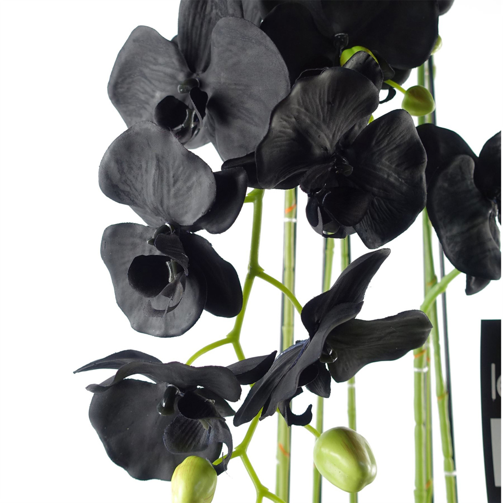 Botanik Large Black Orchid Artificial Plant in Pot 3.6ft Image 2