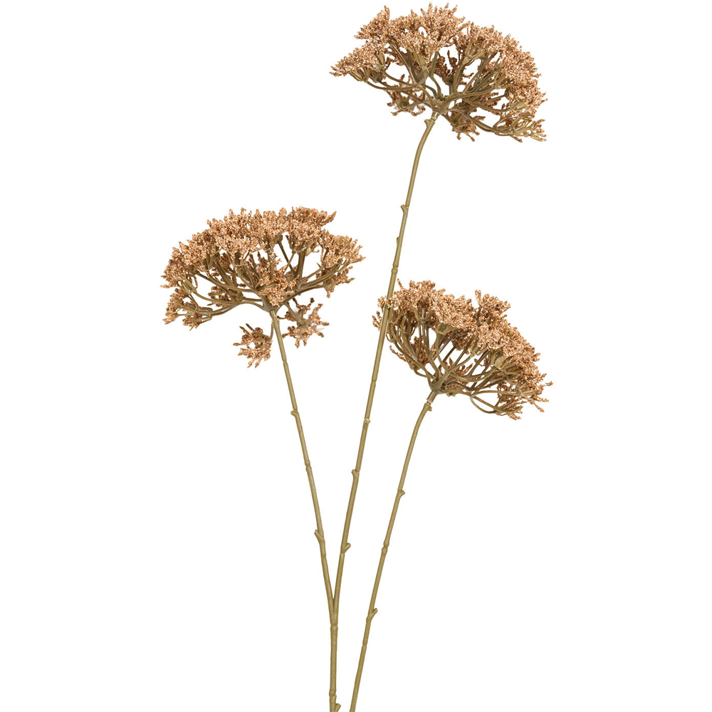 Queen Annes Lace Decorative Stem Image 4