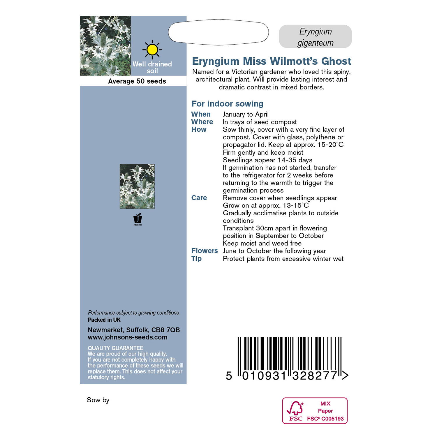 Johnsons Eryngium Miss Willmotts Ghost Image 2