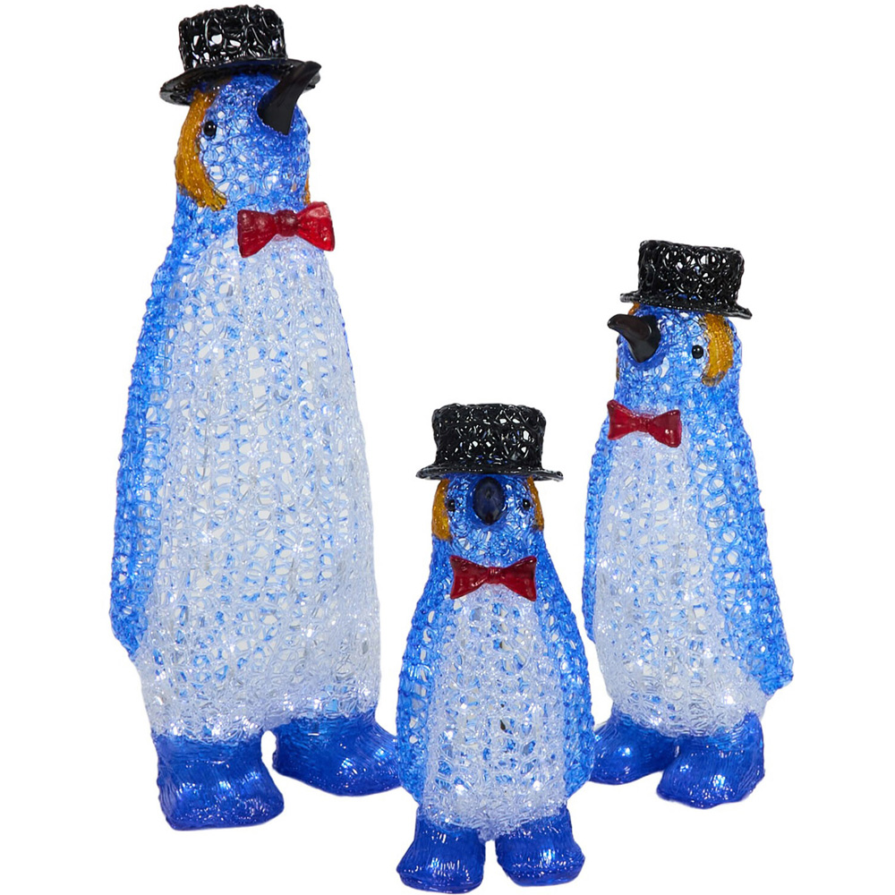 Set of 3 Acrylic Smart Penguin Family Image 6