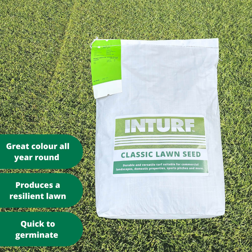 Inturf Grass Seed Bag 5kg Image 3