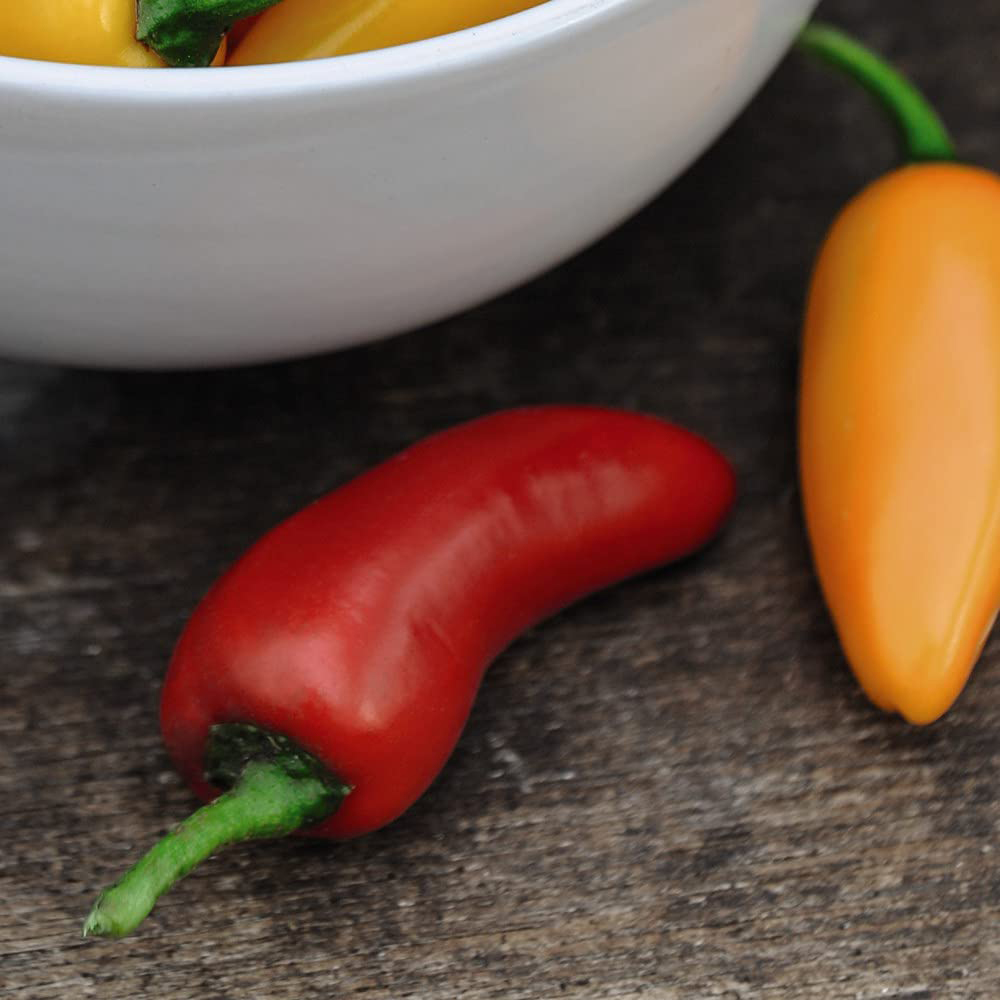 Thompson and Morgan Chilli Pepper Fresno Mixed F1 Seeds Image 3