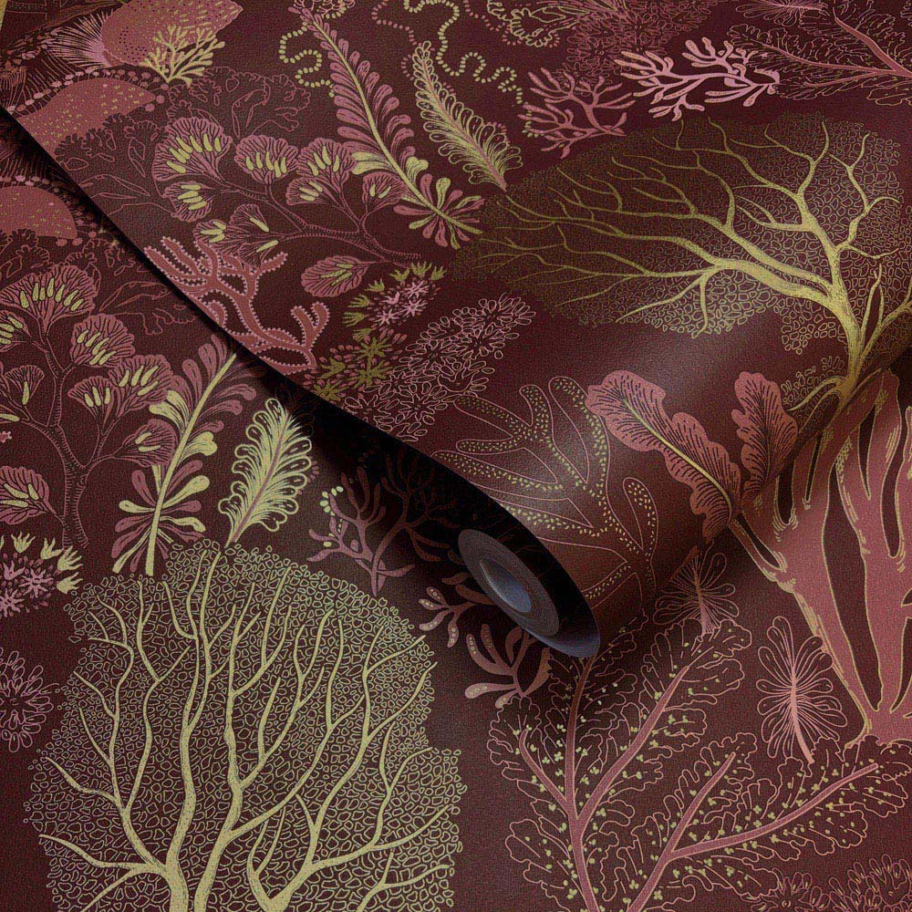 Holden Decor Underwater World Berry Wallpaper Image 2