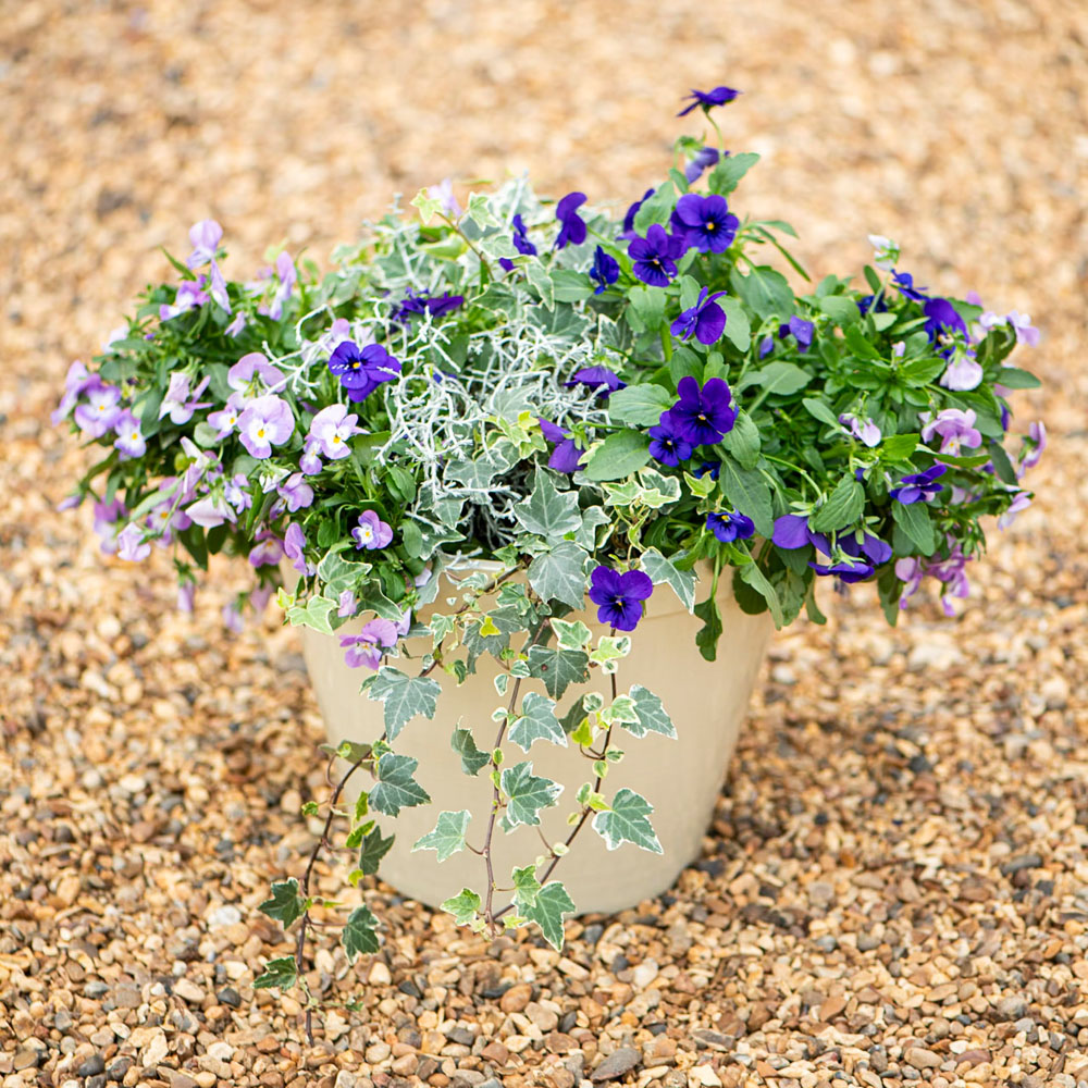 Thompson and Morgan Lindos Stone Glazed Effect Planter 25.5cm Image 2