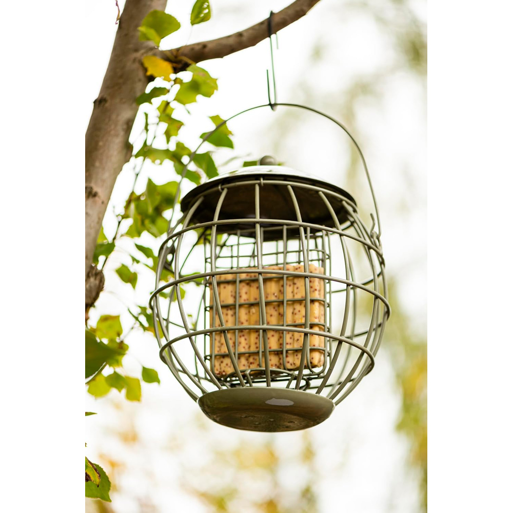 Thompson and Morgan Happy Beaks Orbital Squirrel Proof Suet Feeder Image 3