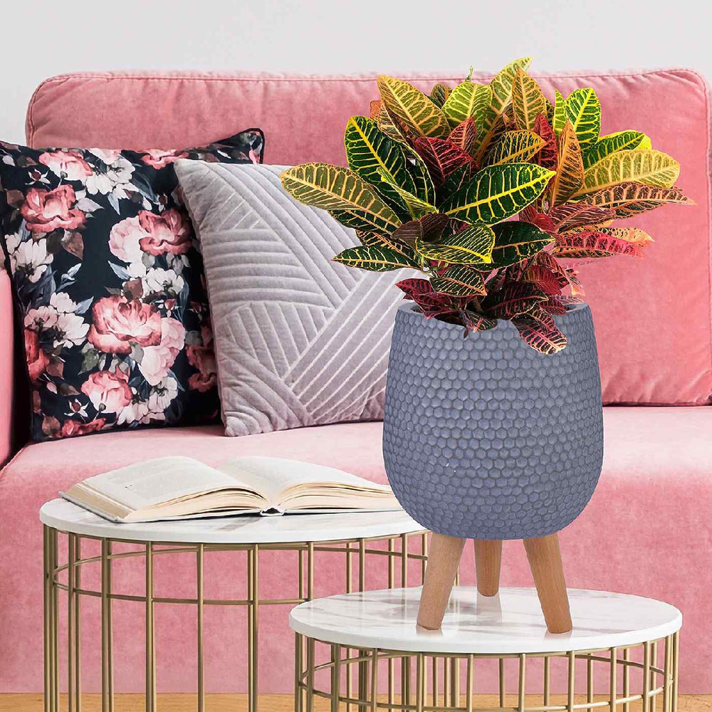 wilko Honeycomb Grey Round Indoor Planter on Legs 34cm Image 6