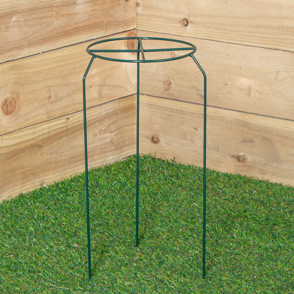 Samuel Alexander Dark Green Metal Herbaceous Plant Support 40 x 20cm Image 2