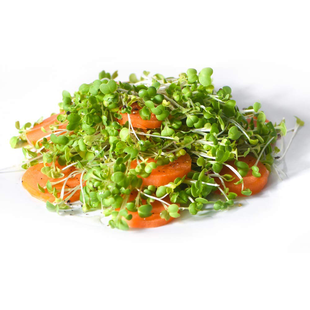 Thompson and Morgan Microgreens Mizuna CN Mizuna Seeds Image 2