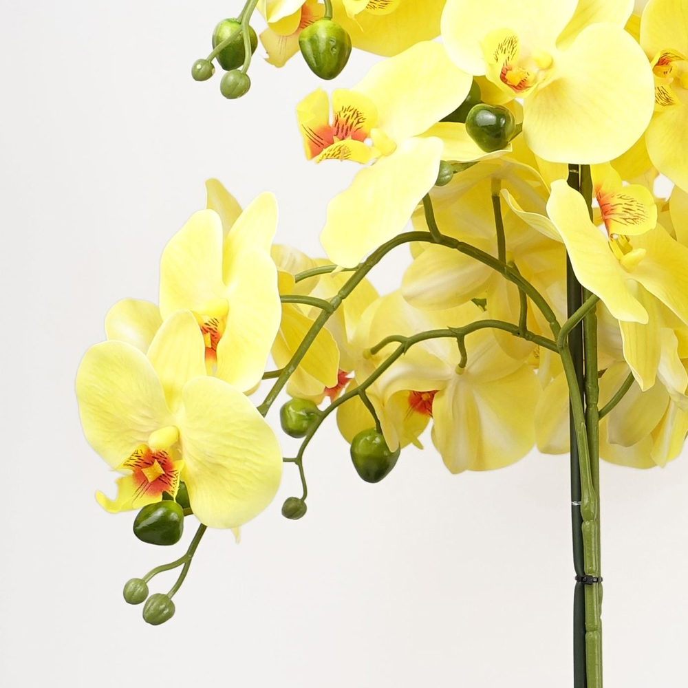 Botanik Yellow Orchid Artificial Tree in Black Ceramic Planter 60cm Image 3