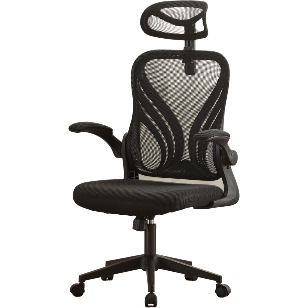 Home Source Ascend Black Mesh Foldable Office Chair with Adjustable Armrest Image 2