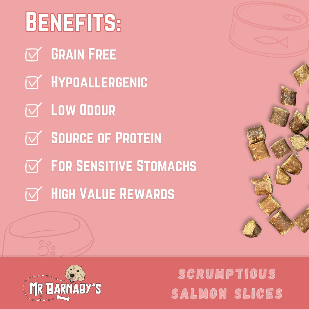 Mr Barnaby's Scrumptious Salmon Slices Dog Treats 4 Pack Image 4
