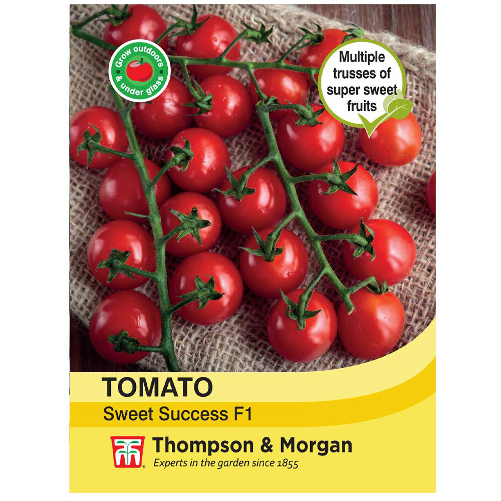 Thompson and Morgan Tomato Sweet Success Seeds Image 2