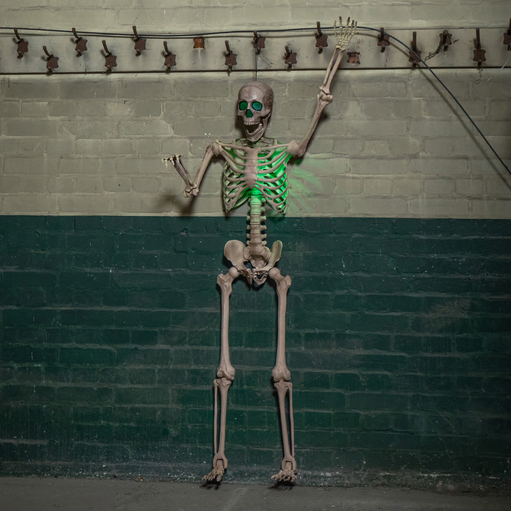 Samuel Alexander Green LED Battery Powered Skeleton Halloween Decoration 5ft Image 3