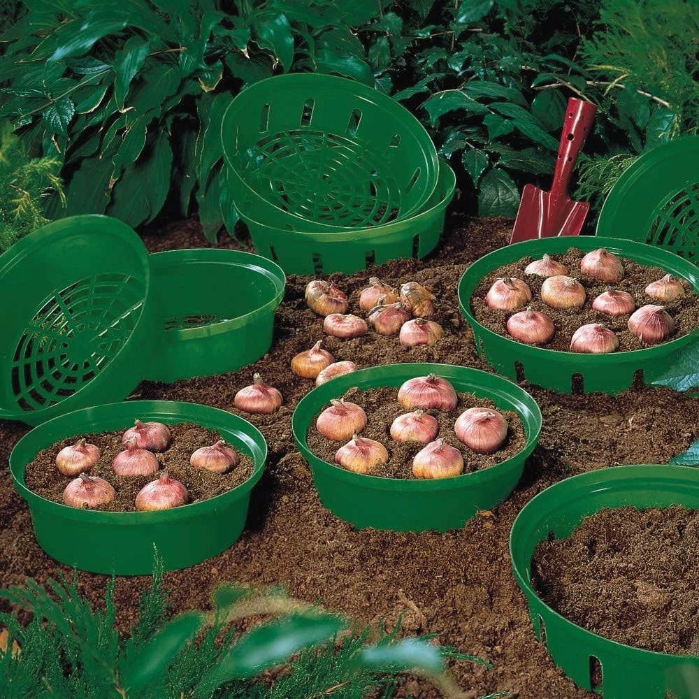 Thompson and Morgan Bulb Planting Basket 10 Pack Image 2
