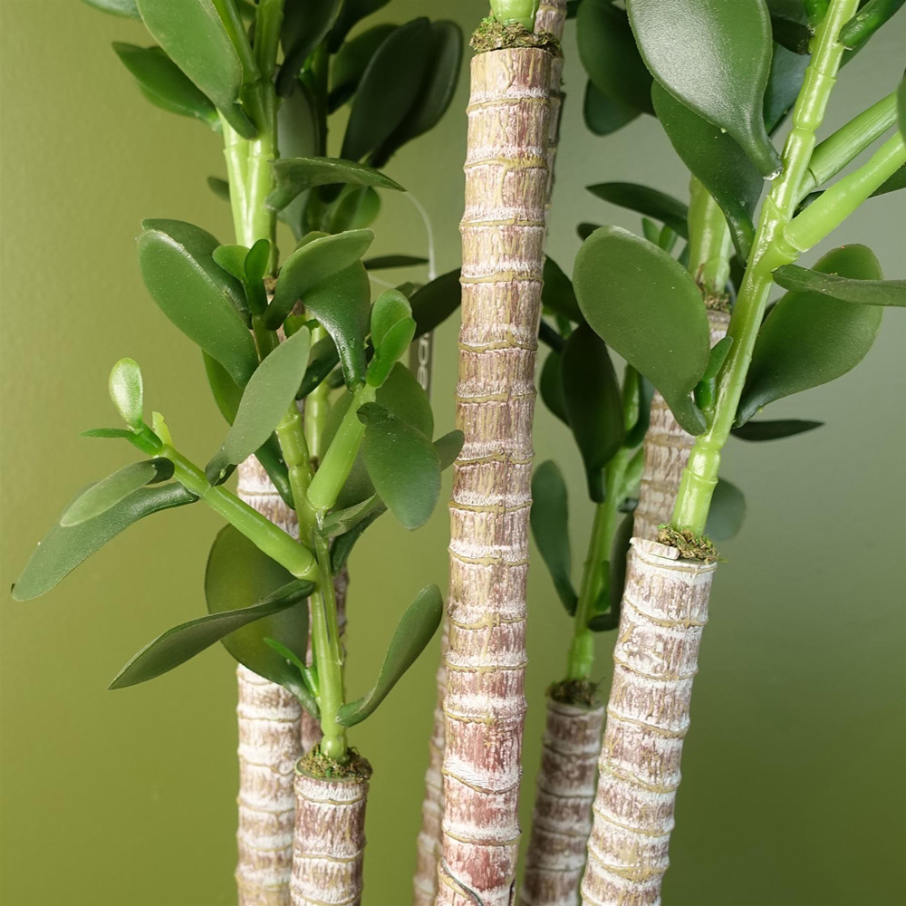 Leaf Deluxe Green Jade Artificial Plant in Pot 2.5ft Image 6