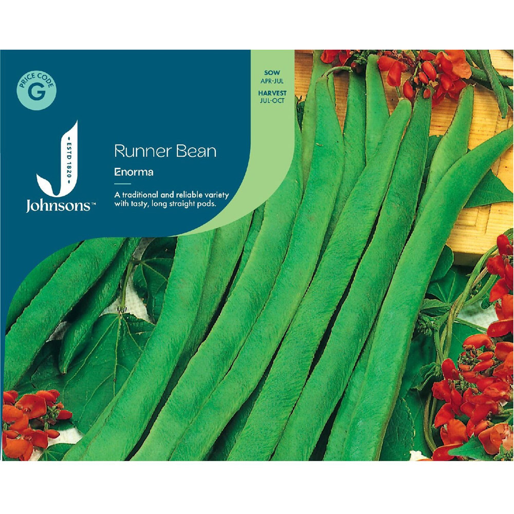 Enorma Runner Bean Seeds Image 2