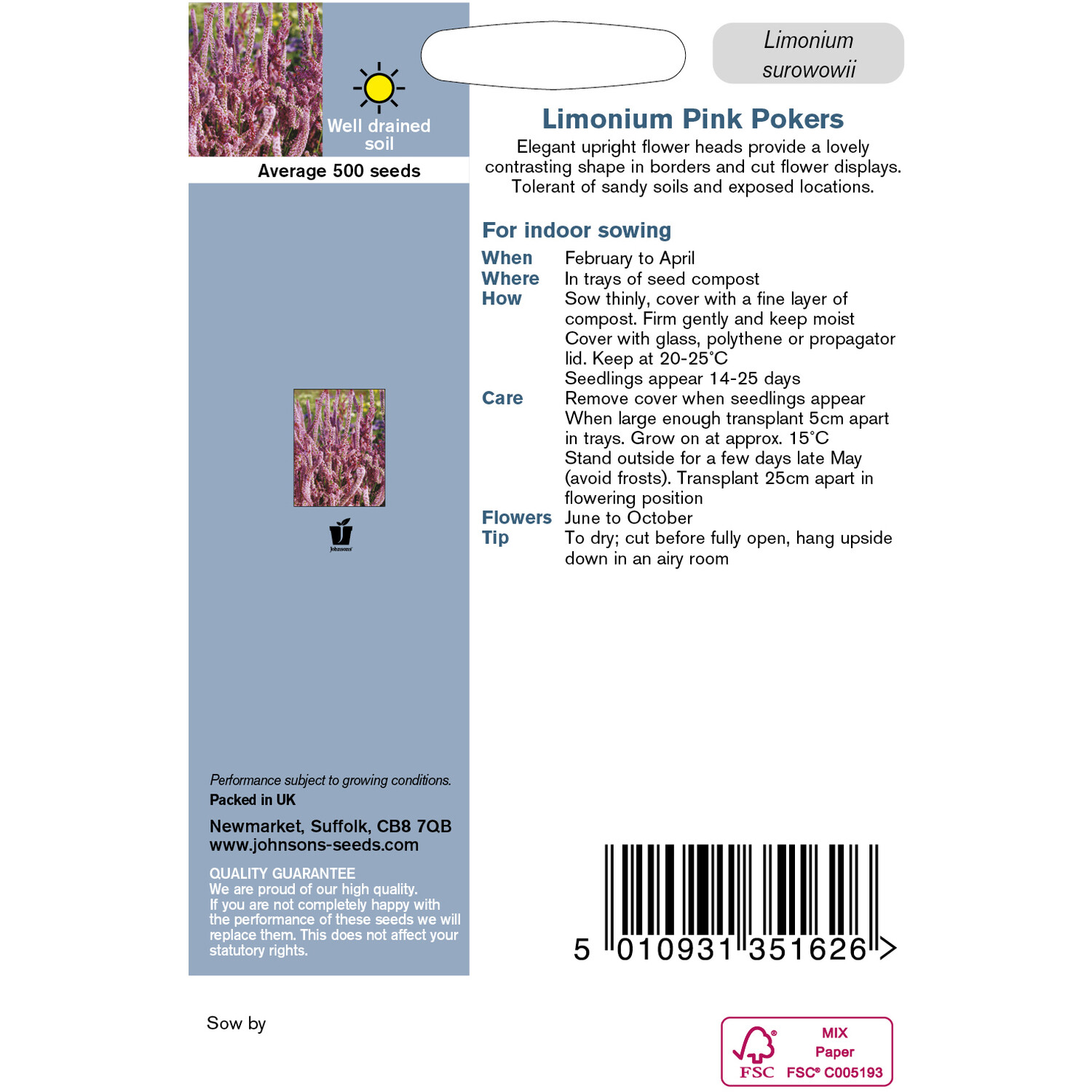 Johnsons Limonium Pink Pokers Flower Seeds Image 3