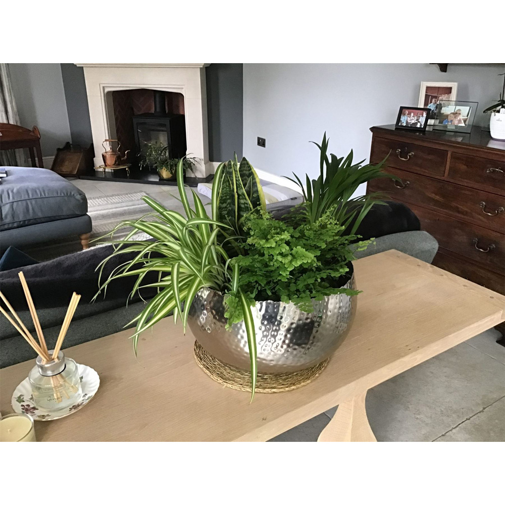 Leaf Silver Hammered Curvy Edge Metal Bowl Planter 32 x 20cm Image 2