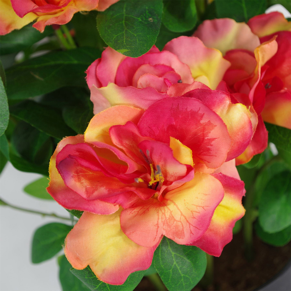 Leaf Pink and Orange Rhododendron Artificial Plant in Black Pot 40cm Image 2