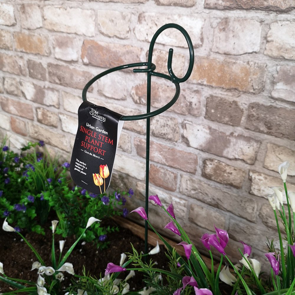 Samuel Alexander Tom Chambers Urban Black Metal Herbaceous Plant Support Ring 12 x 38cm 6 Pack Image 6