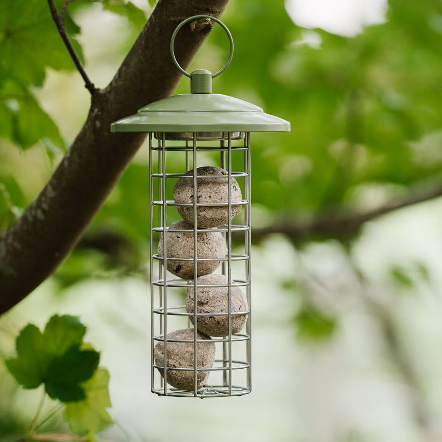 Peckish Canto Energy Ball Feeder Image 2