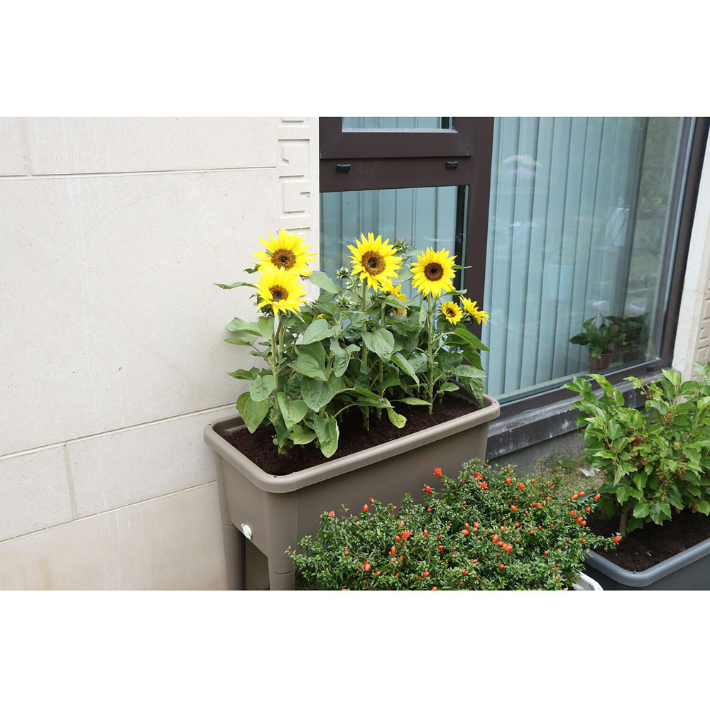 Raised Garden Flower Bed - Grey Image 5
