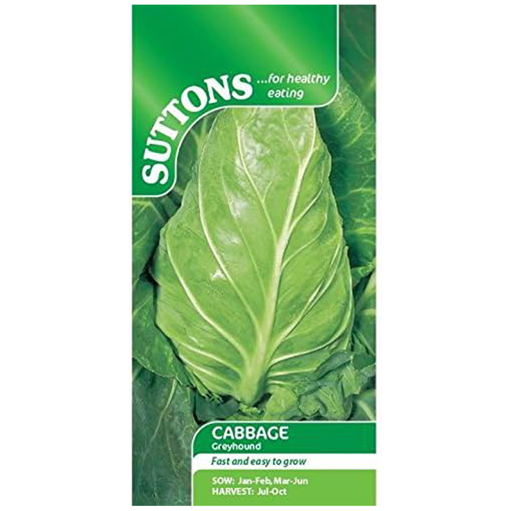 Thompson and Morgan Cabbage Greyhound Seeds Image 2