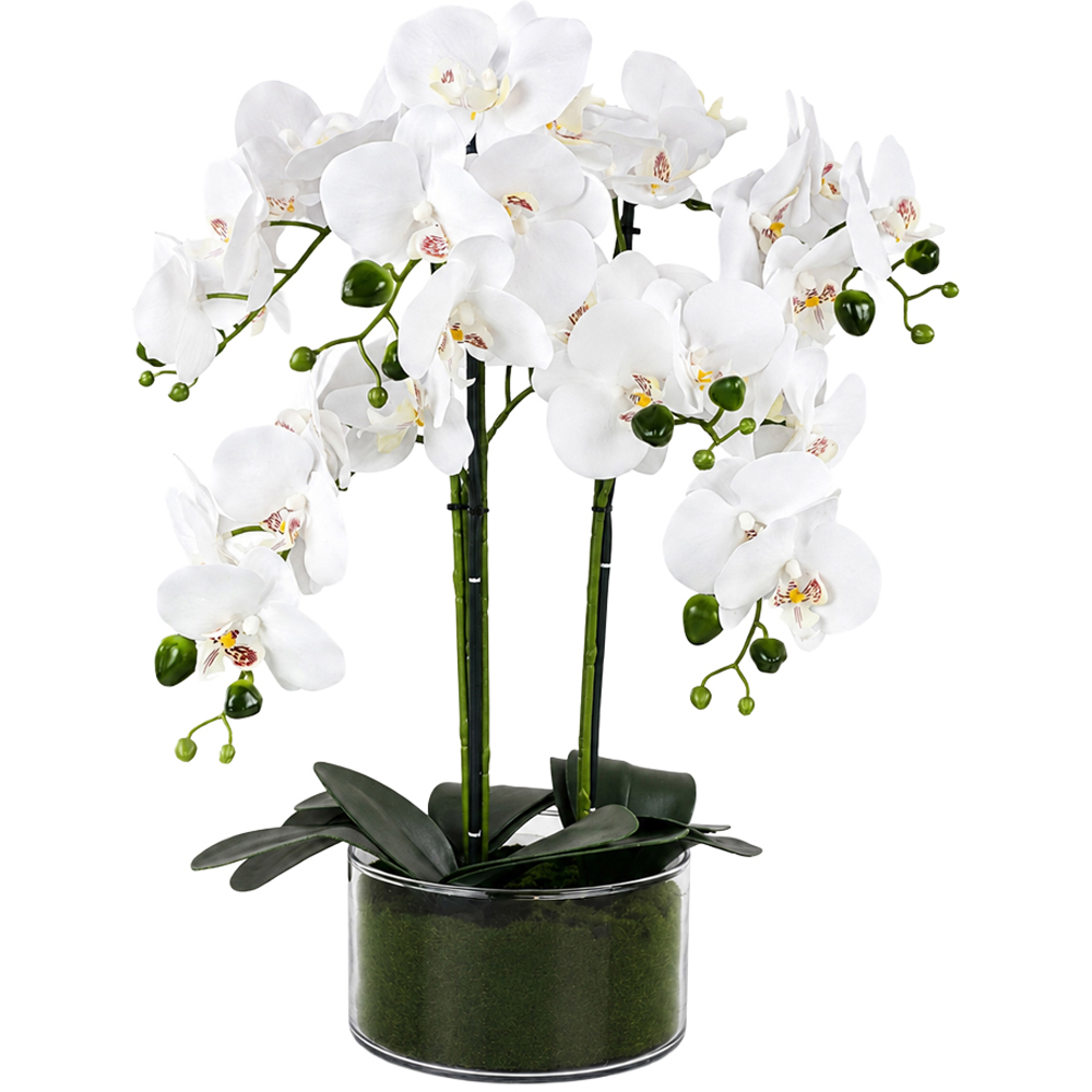 Leaf White Orchid Artificial Plant in Glass Planter 50cm Image 1