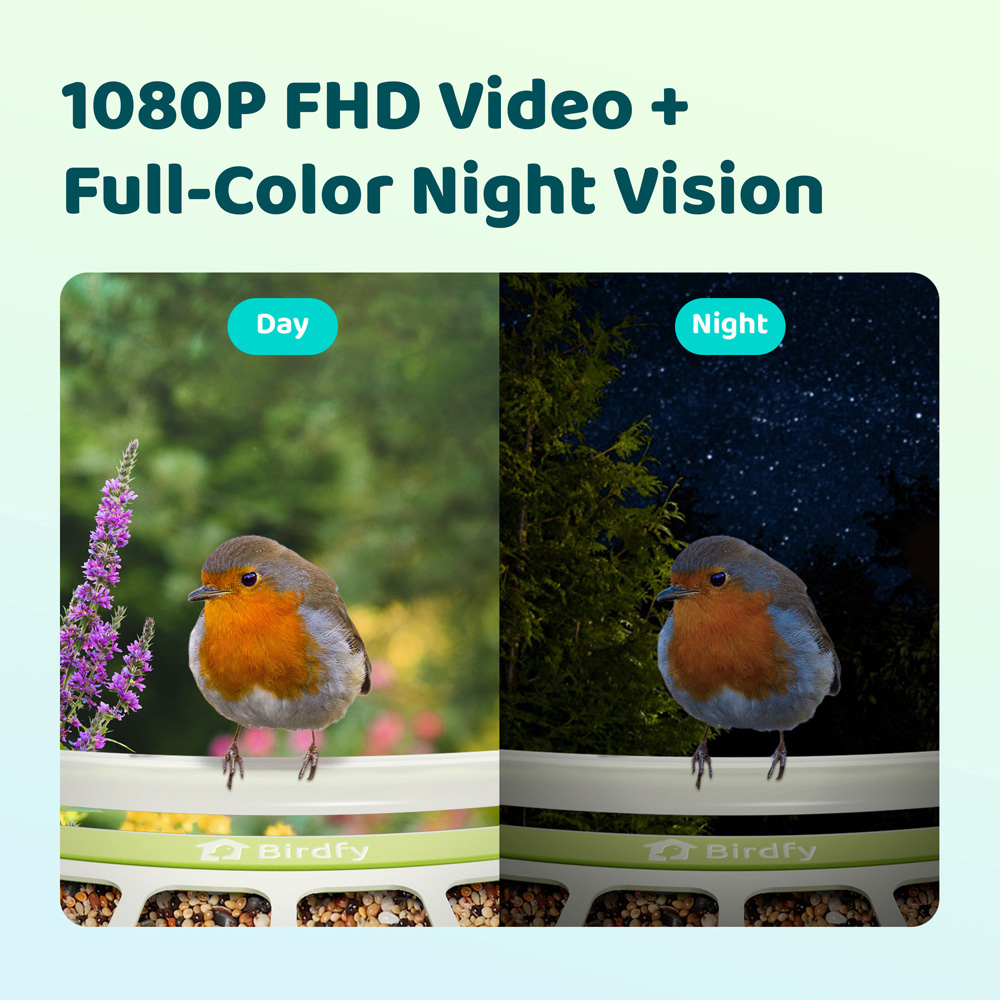Birdfy Metal Outdoor Smart Bird Feeder with 1080p FHD AI Camera Image 4