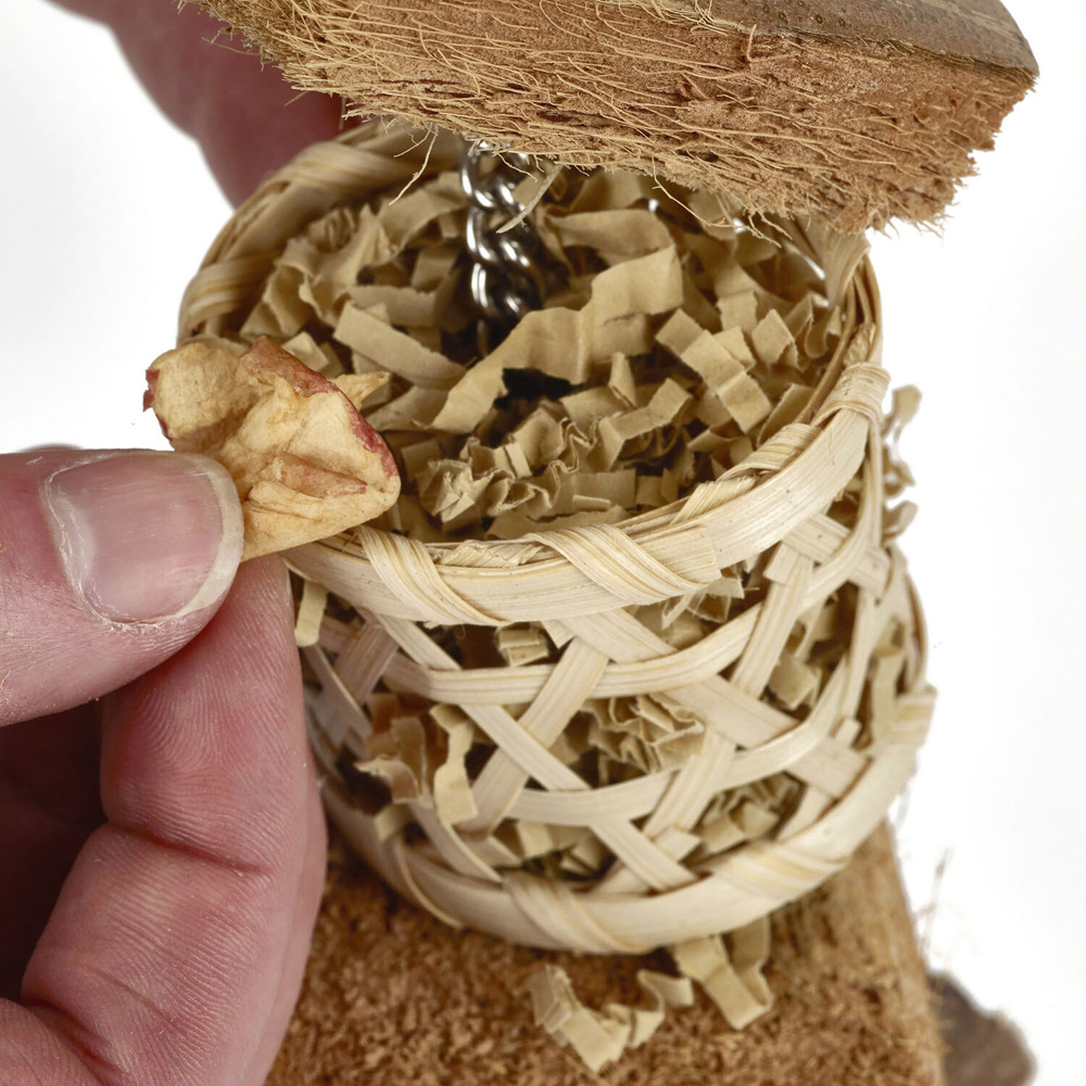 Naturals Lantern Duo Forager Bird Toy Image 2