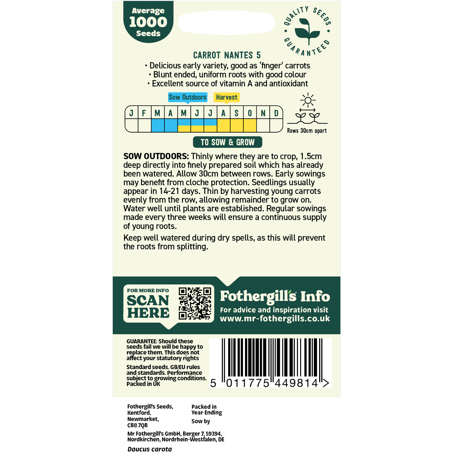 Carrot Medium Seeds Image 2