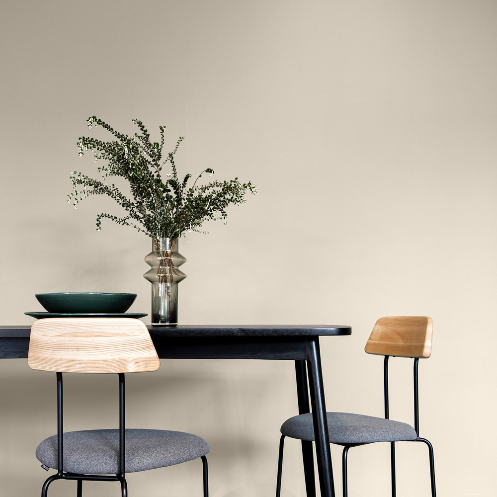 Craig & Rose 1829 Vintage Walls and Ceilings Isabelline Chalky Matt Emulsion Paint 2.5L Image 4