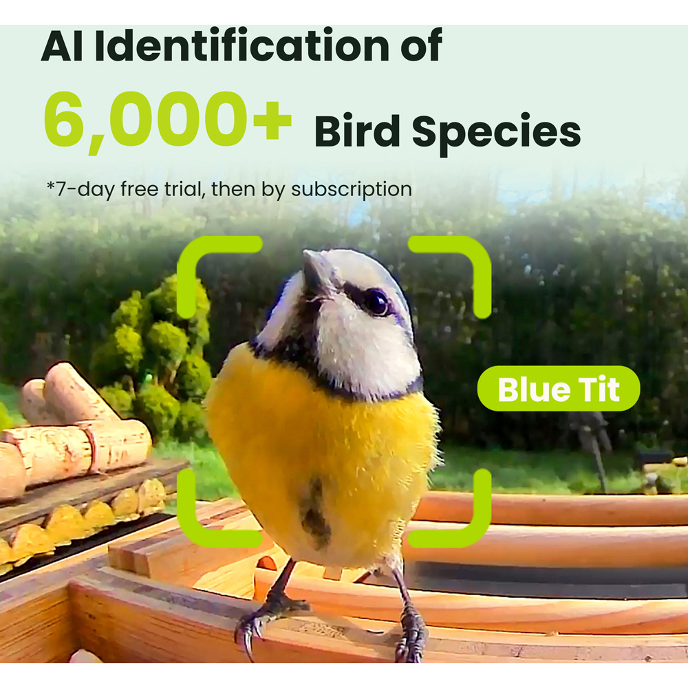Birdfy Bamboo Smart Solar Roof Bird Feeder with 1080p AI Camera Image 8