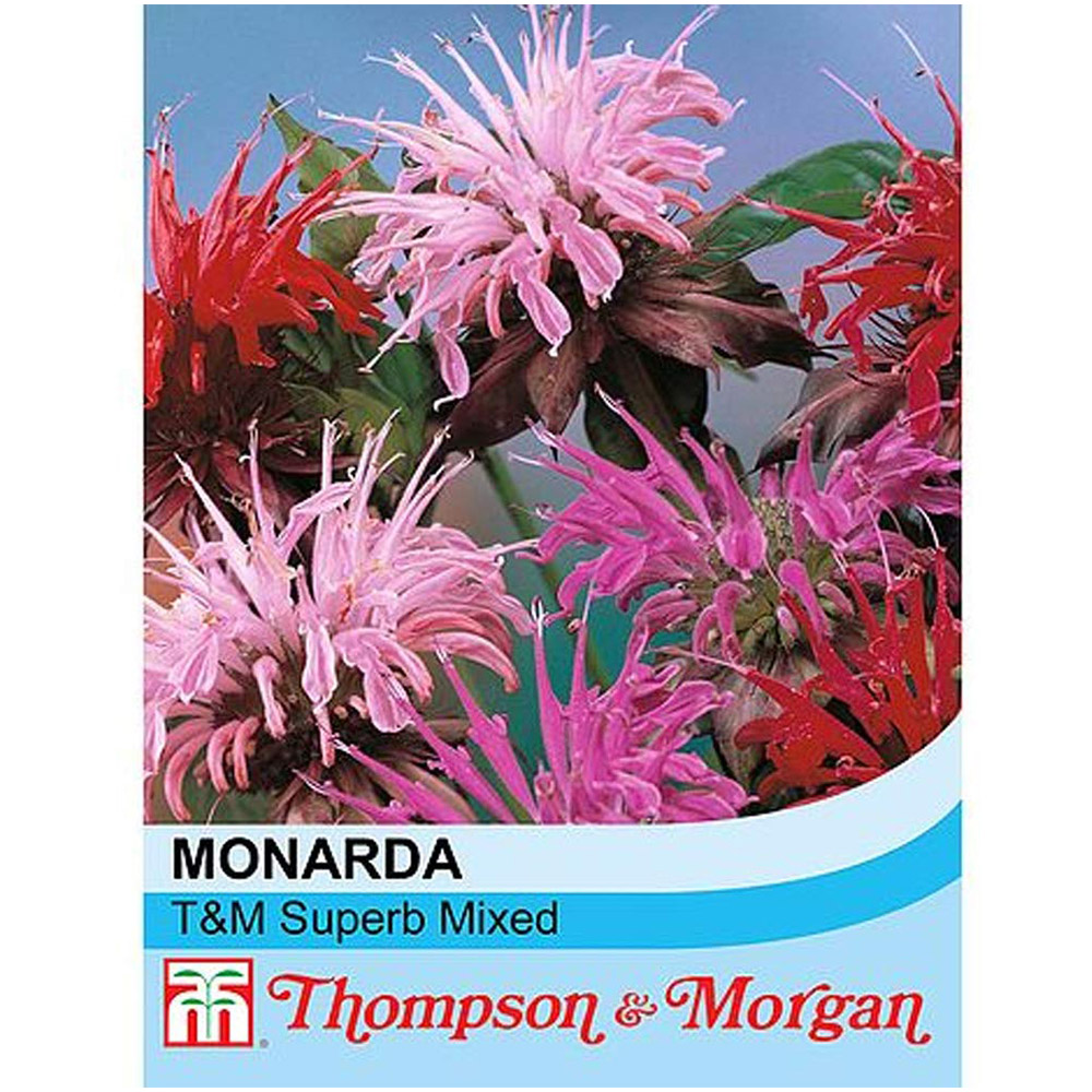 Thompson & Morgan Monarda Didyma Superb Mixed Seeds Image