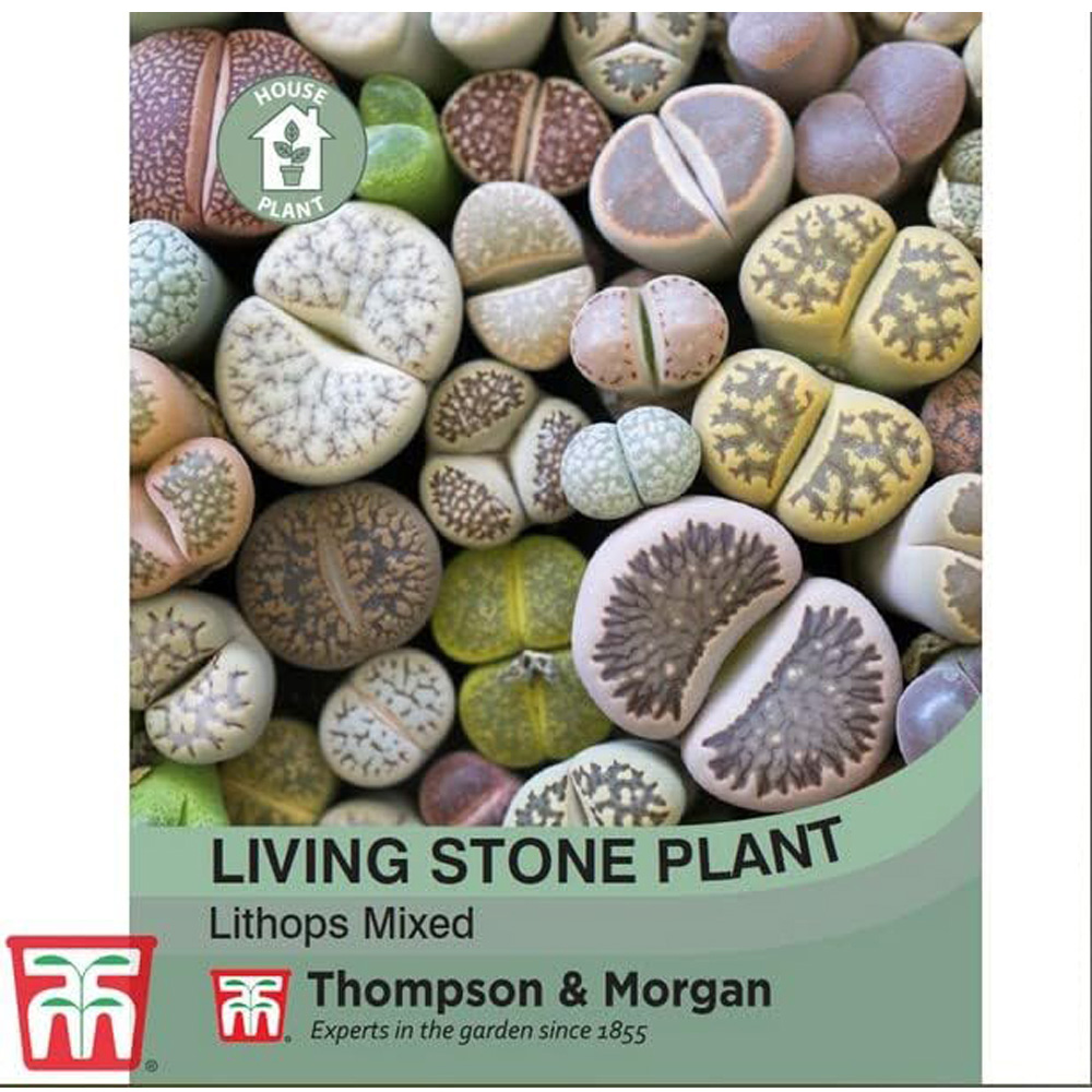 Thompson & Morgan Living Stone Plant Seeds Image 3