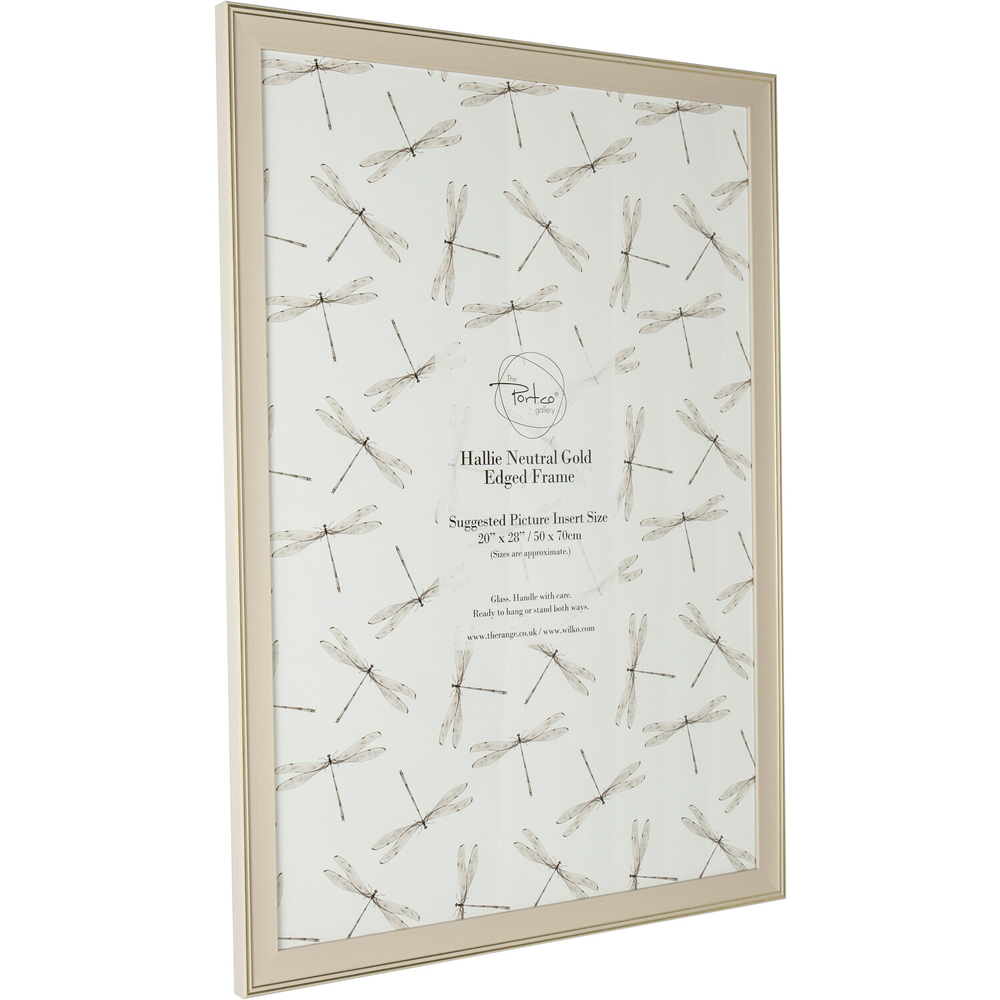Hallie Neutral Gold Edged Frame - Neutral / 50 x 70in Image 2