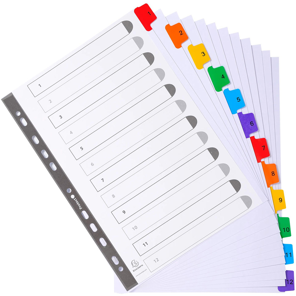 Exacompta A4 White 1-12 Divider with Multicolour Tabs 20 Pack Image 4